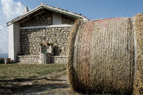 masseria pietrascritta|La fattoria didattica